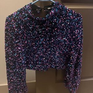 Zara Multicolor Sequin Top